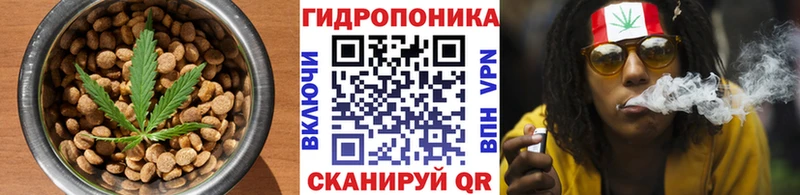 купить цена Печоры Печенье с ТГК конопля