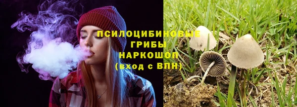 твердый Аркадак