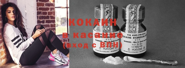 твердый Аркадак